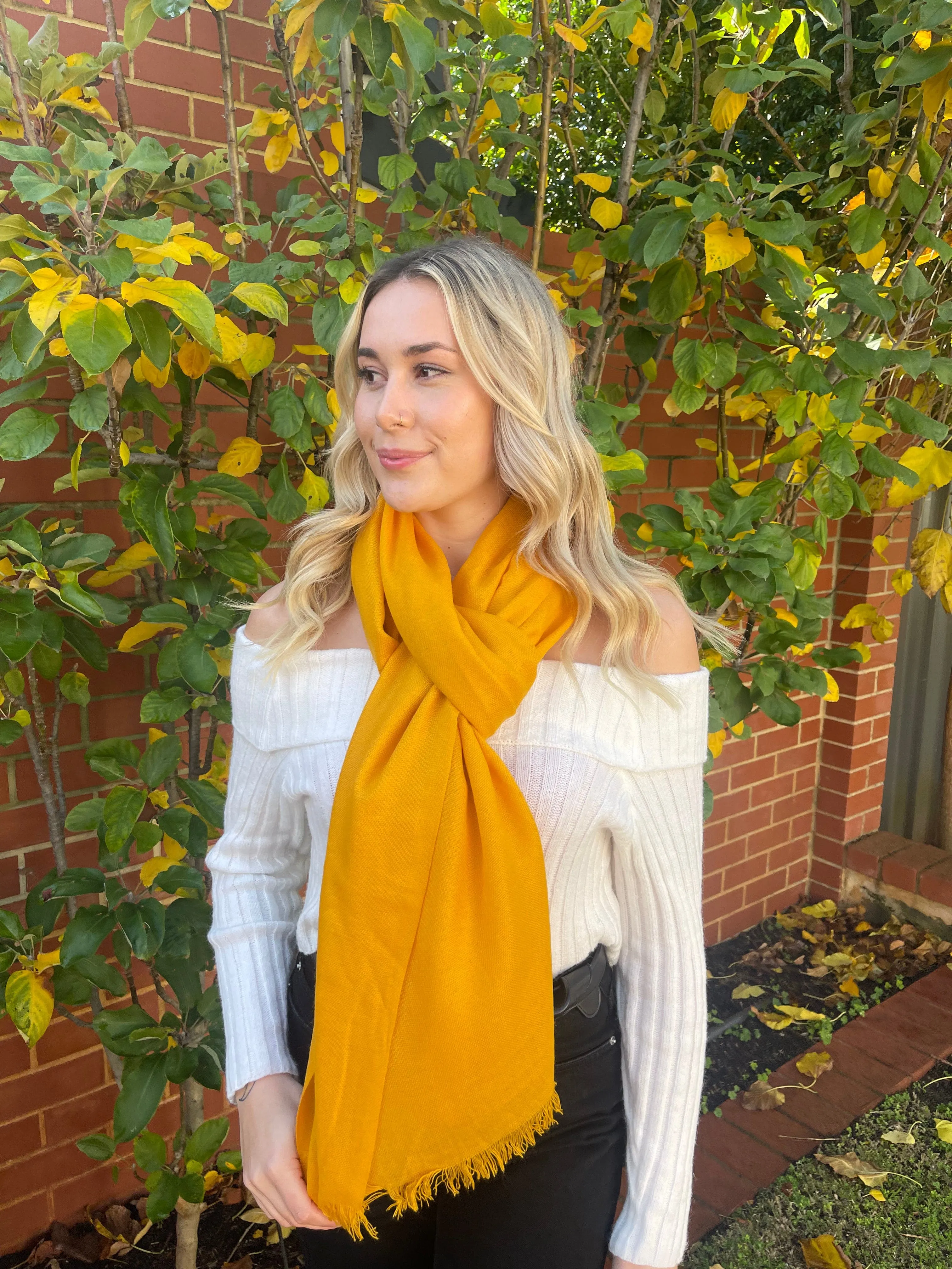 Pure Cashmere Shawl - Turmeric Yellow